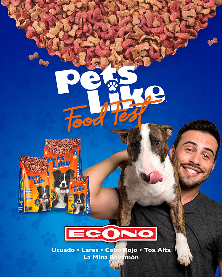 Pets Like Food Test